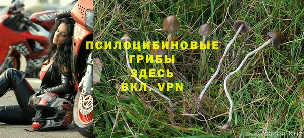 дмт Алзамай