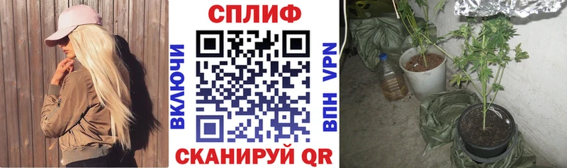 Канабис OG Kush Цимлянск